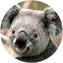 Profilbild von „Denis Magel“